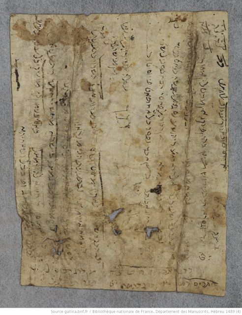 An image of the current object, e.g. a page in manuscript