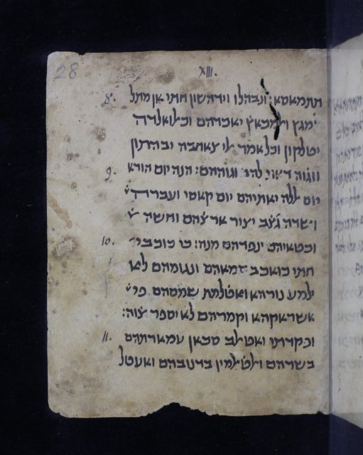 An image of the current object, e.g. a page in manuscript