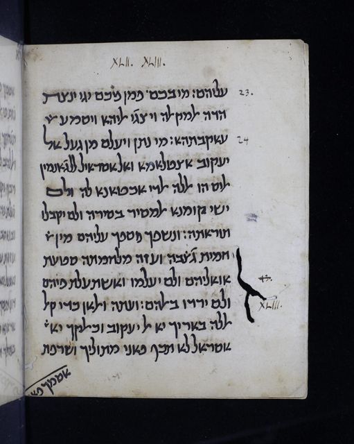 An image of the current object, e.g. a page in manuscript