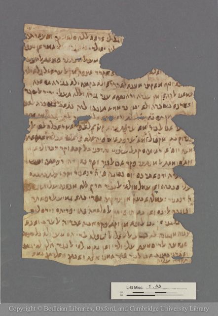 An image of the current object, e.g. a page in manuscript