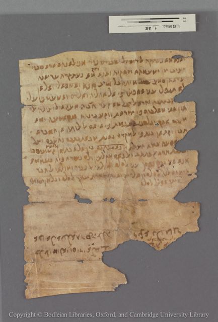 An image of the current object, e.g. a page in manuscript