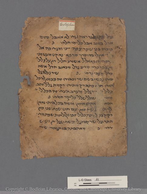 An image of the current object, e.g. a page in manuscript