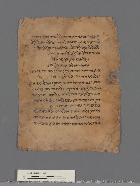 An image of the current object, e.g. a page in manuscript