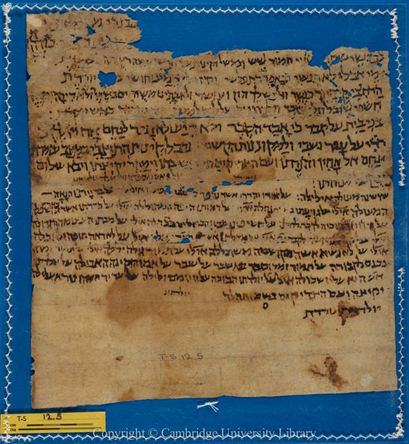 An image of the current object, e.g. a page in manuscript