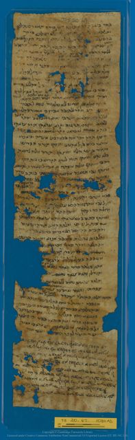 An image of the current object, e.g. a page in manuscript