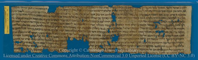 An image of the current object, e.g. a page in manuscript