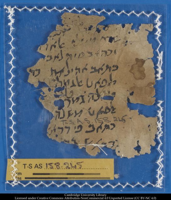 An image of the current object, e.g. a page in manuscript