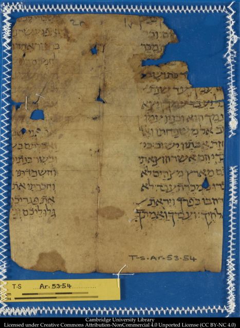 An image of the current object, e.g. a page in manuscript