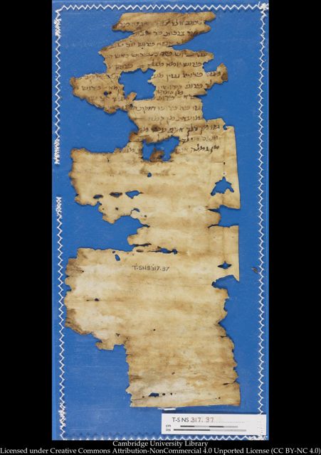 An image of the current object, e.g. a page in manuscript