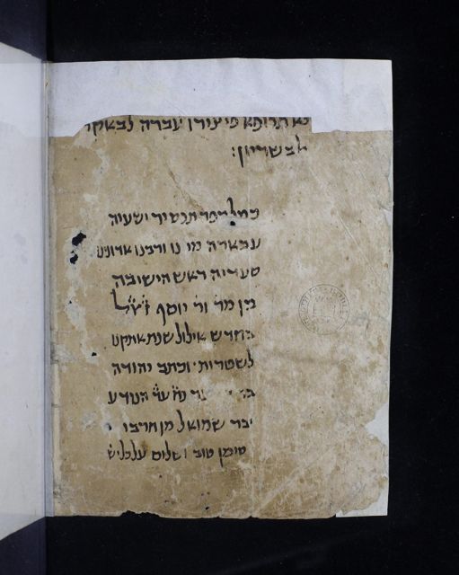 An image of the current object, e.g. a page in manuscript