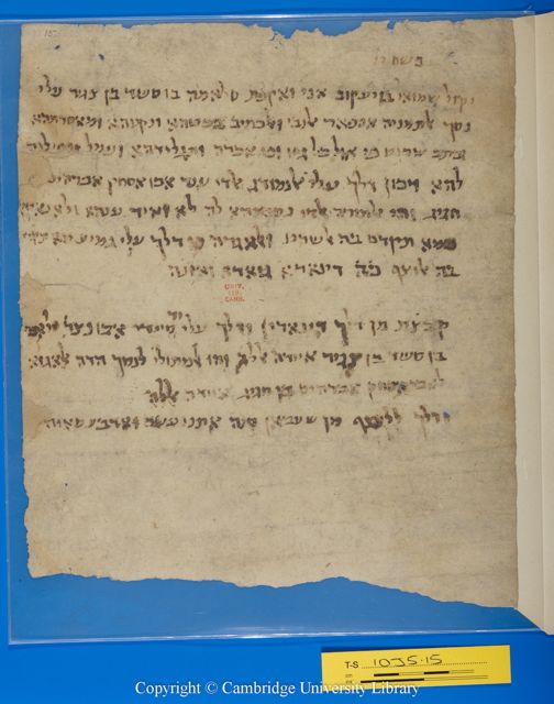 An image of the current object, e.g. a page in manuscript