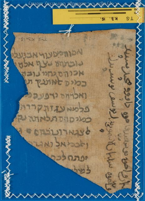 An image of the current object, e.g. a page in manuscript