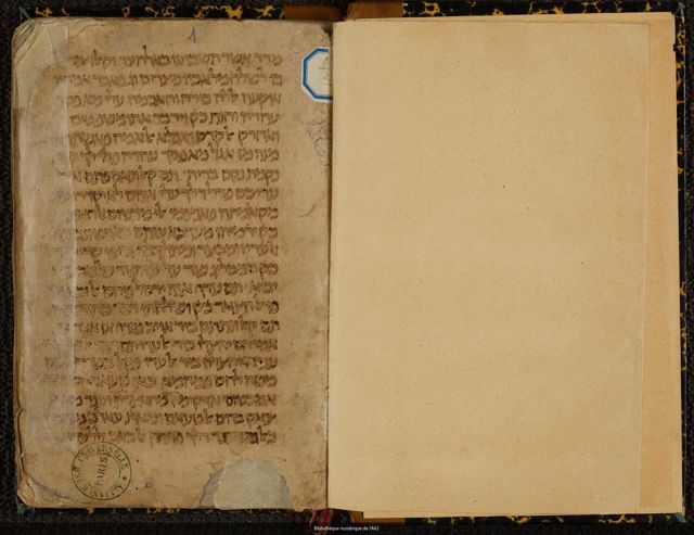 An image of the current object, e.g. a page in manuscript