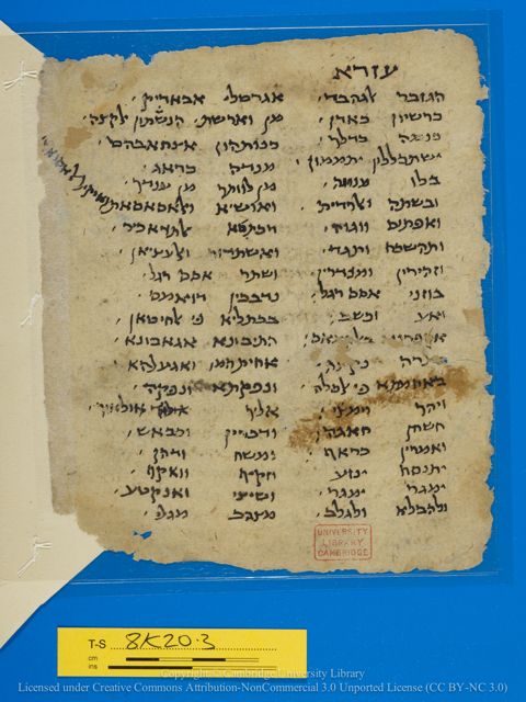 An image of the current object, e.g. a page in manuscript