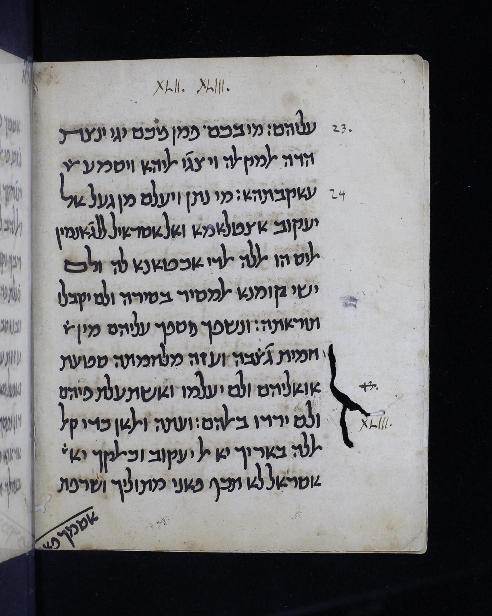 Image of item, e.g. a manuscript page