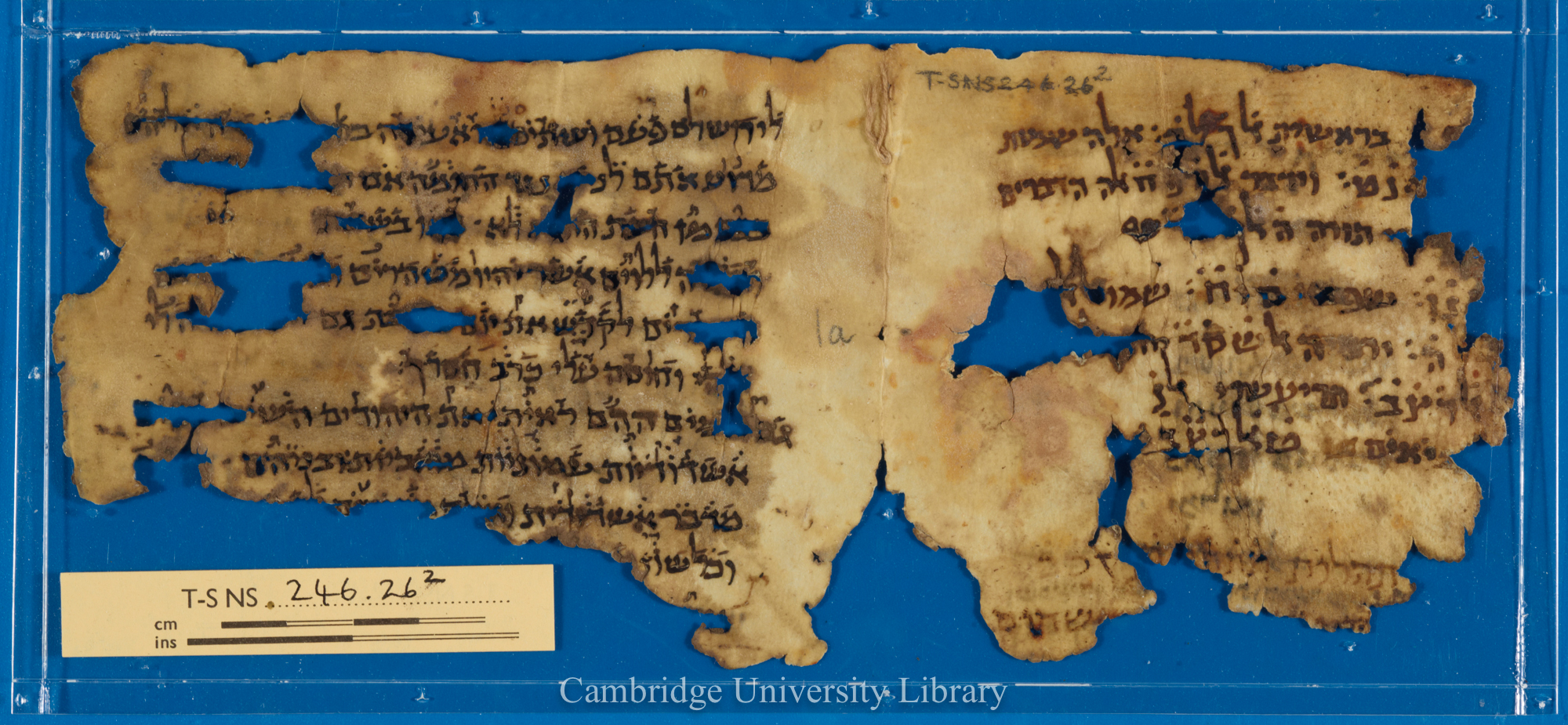 Image of item, e.g. a manuscript page