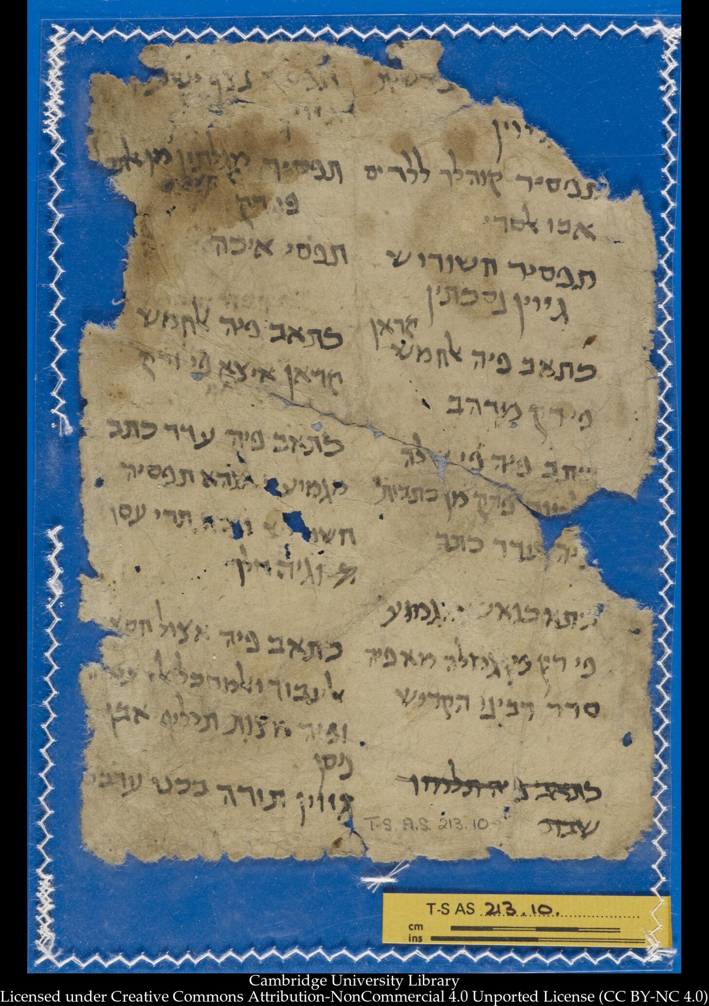 Image of item, e.g. a manuscript page