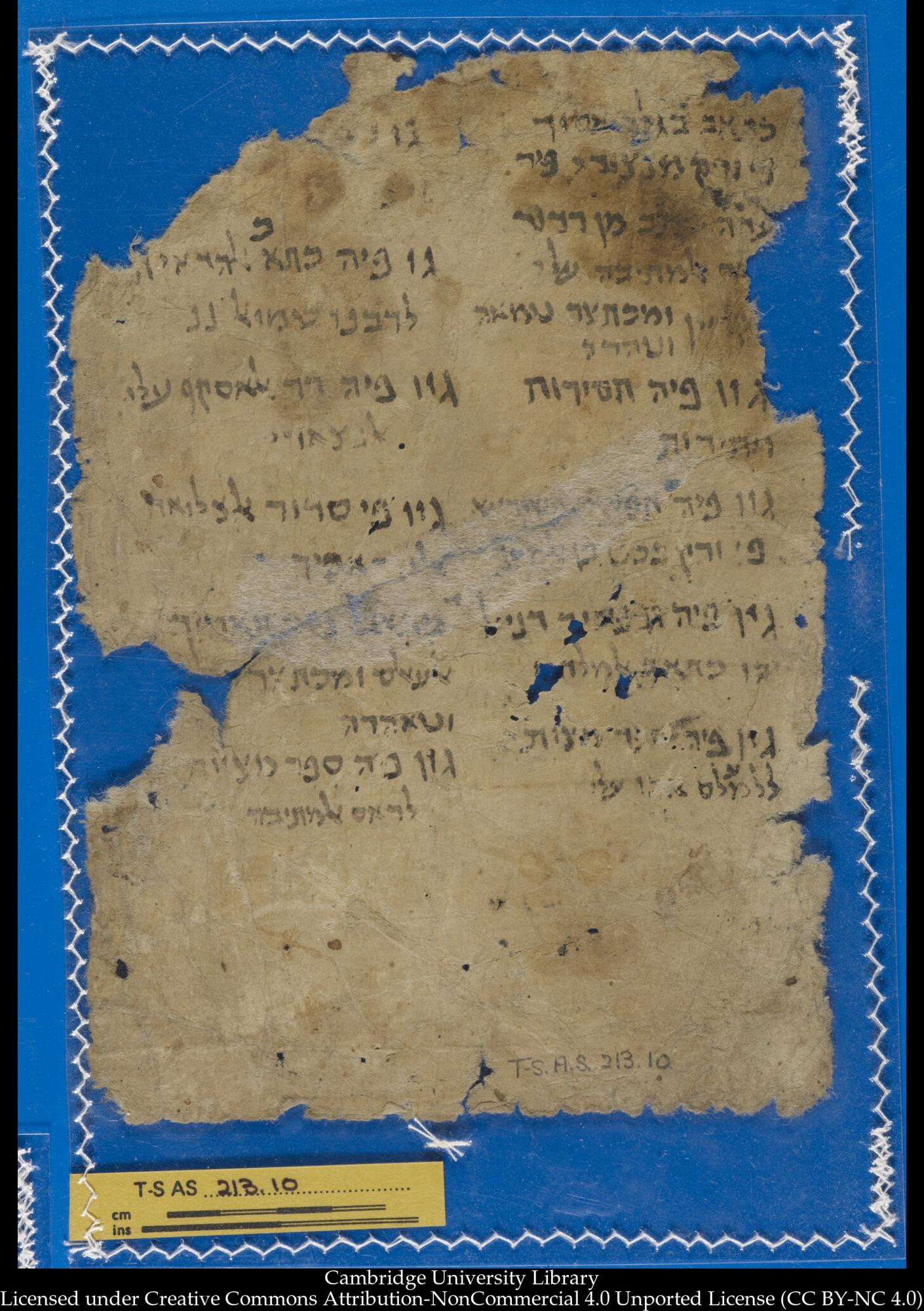 Image of item, e.g. a manuscript page