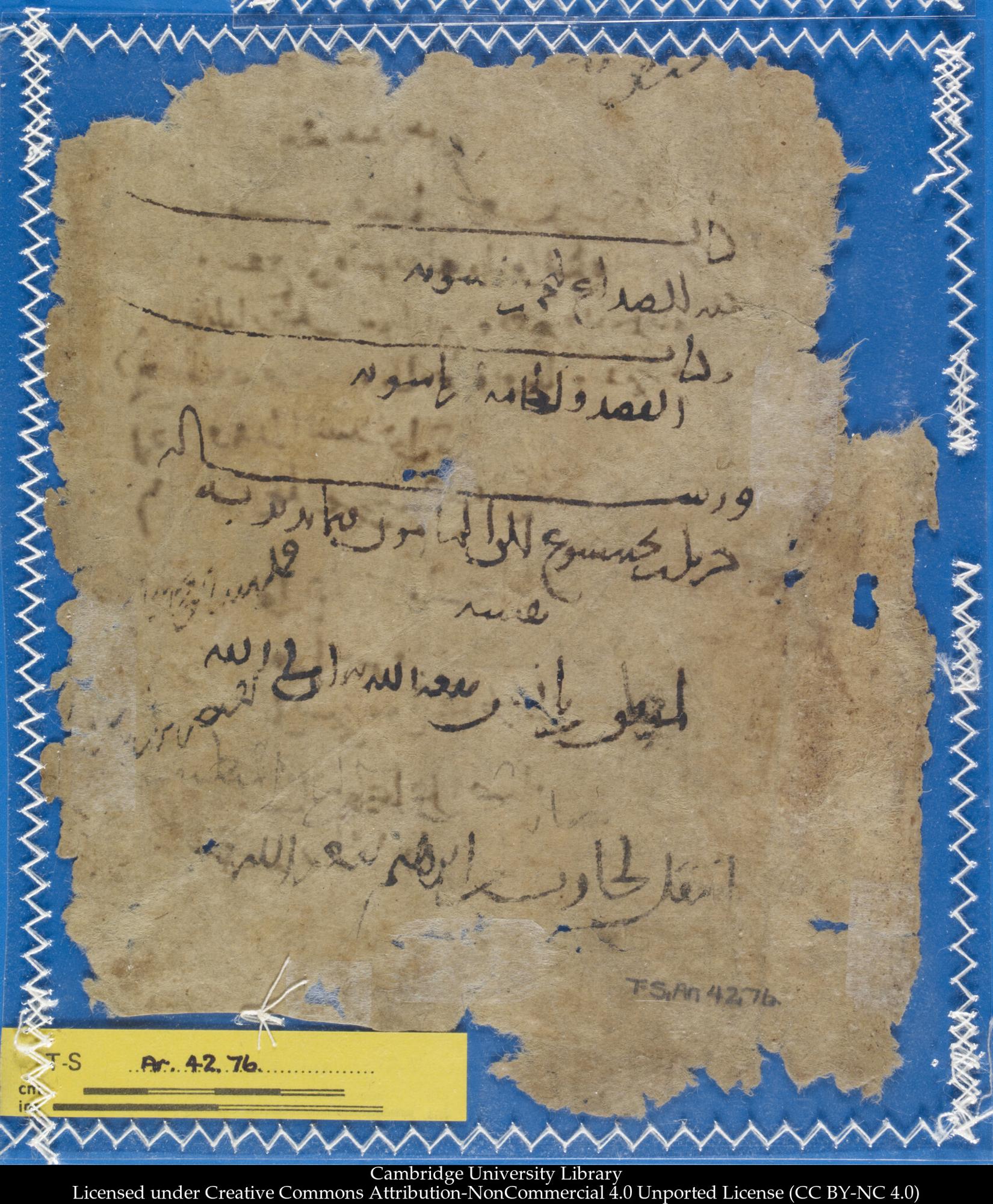 Image of item, e.g. a manuscript page