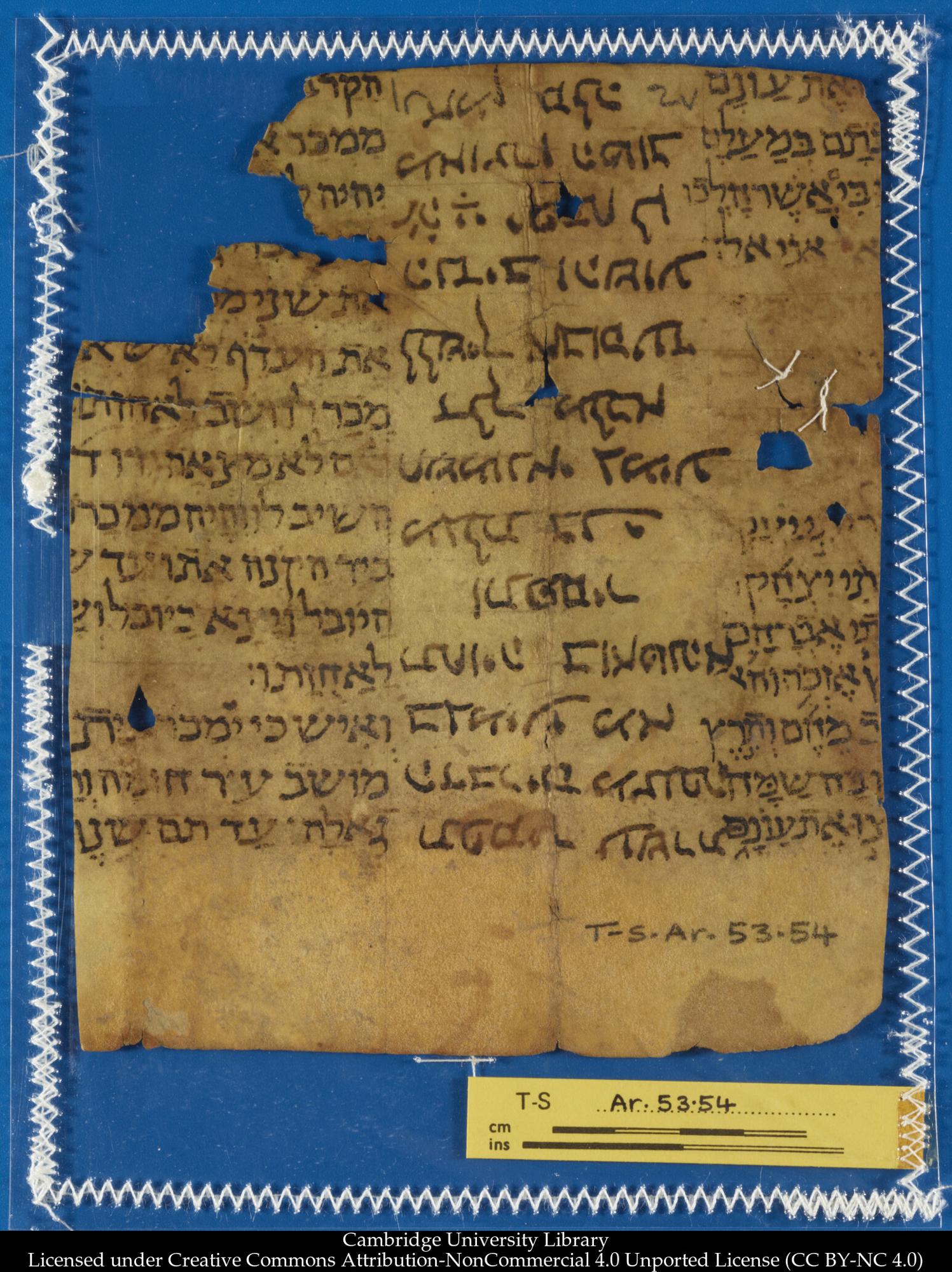 Image of item, e.g. a manuscript page