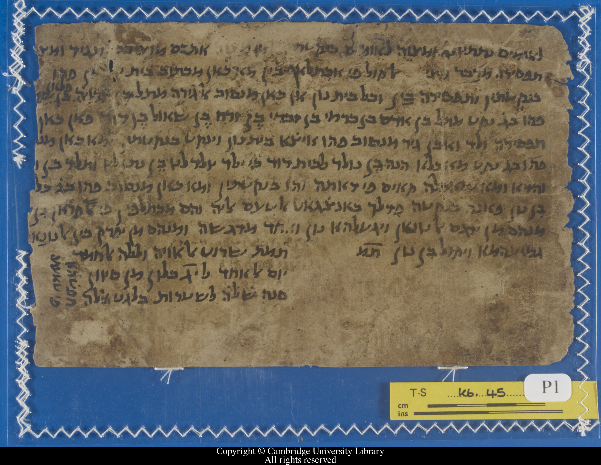 Image of item, e.g. a manuscript page