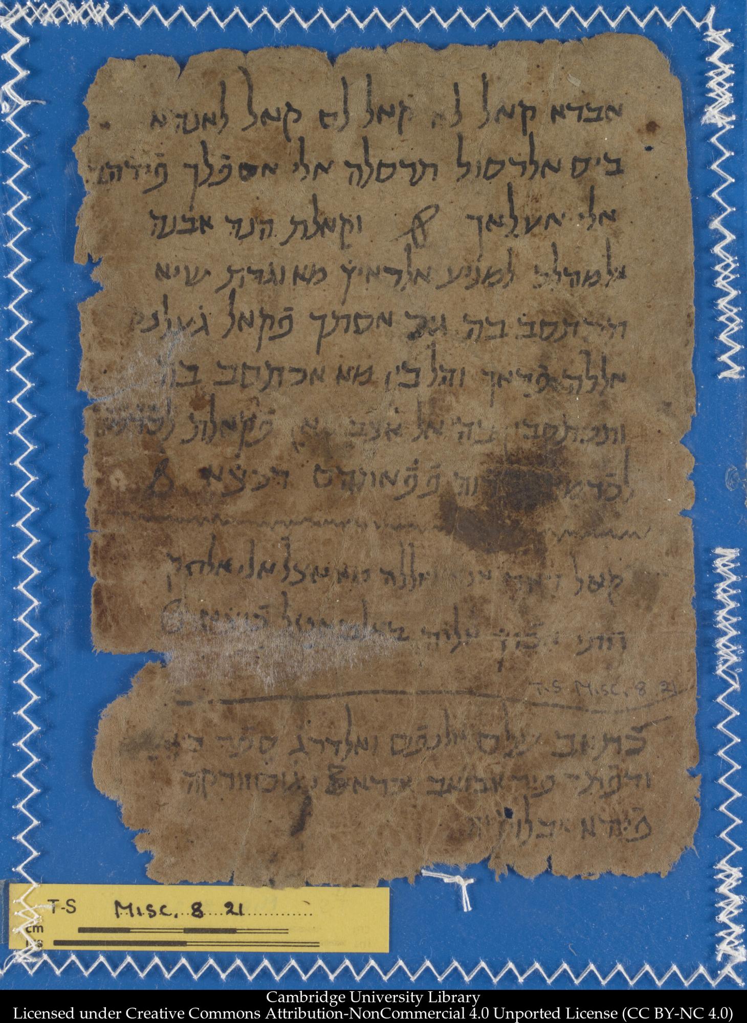 Image of item, e.g. a manuscript page