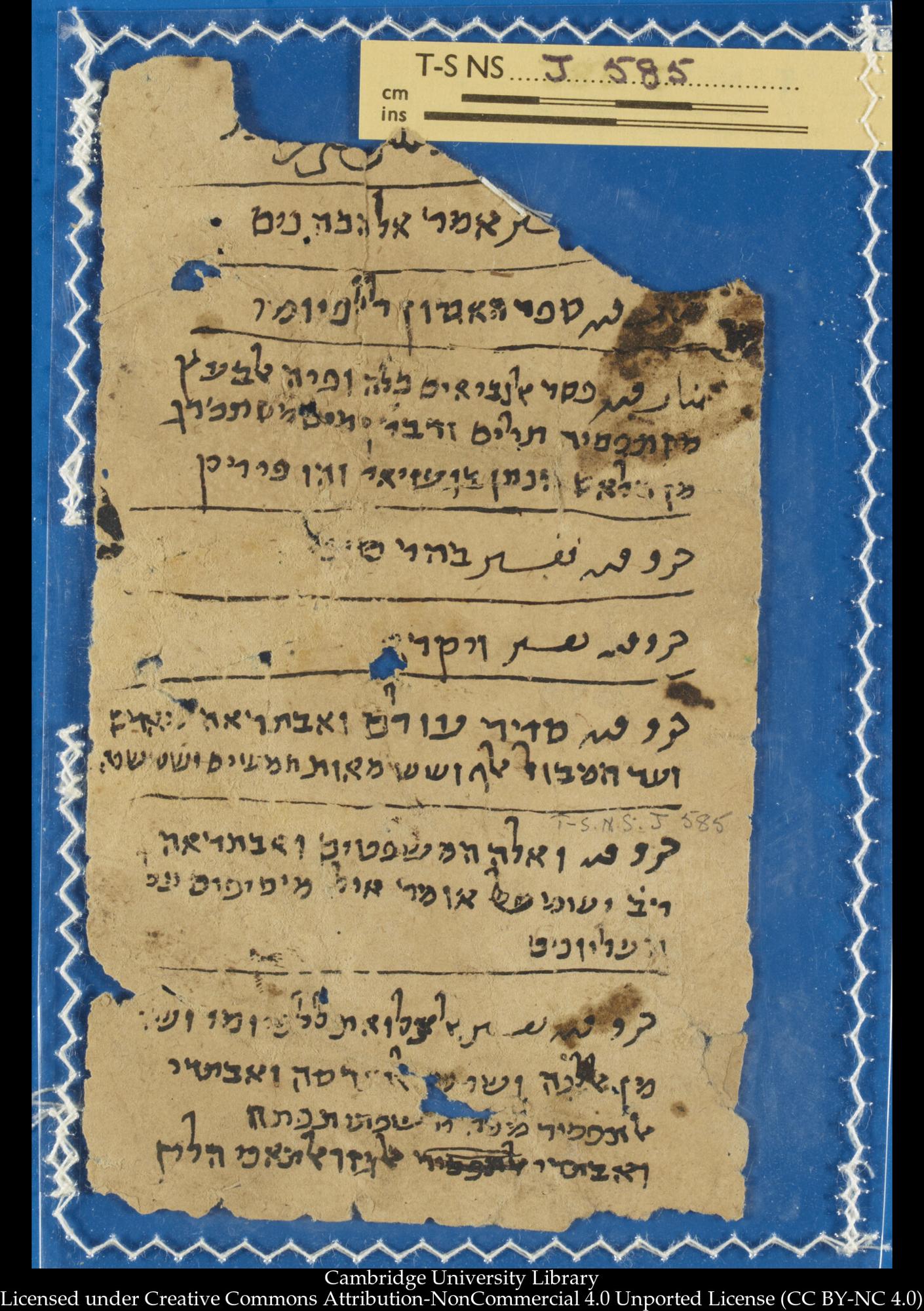 Image of item, e.g. a manuscript page