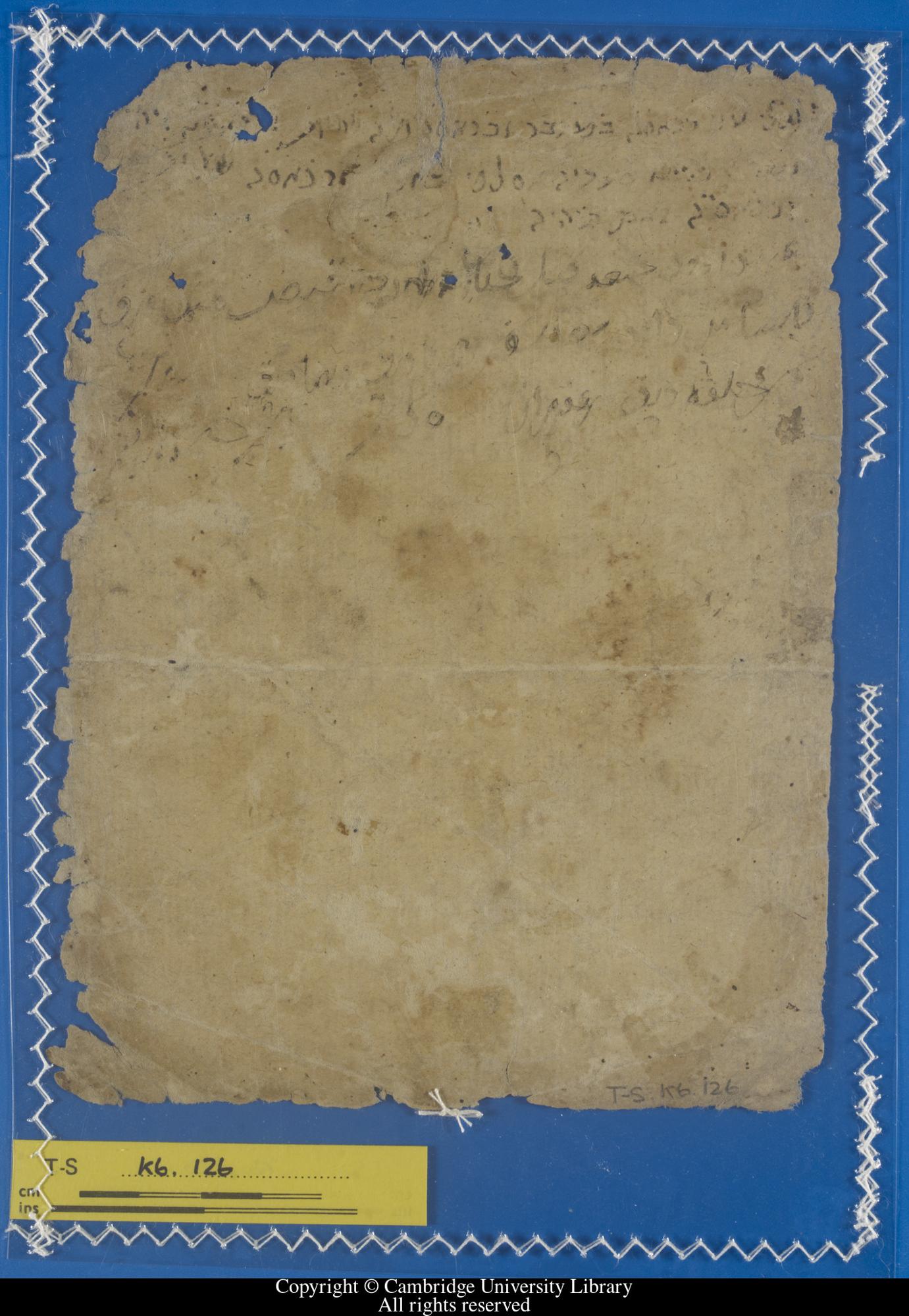 Image of item, e.g. a manuscript page