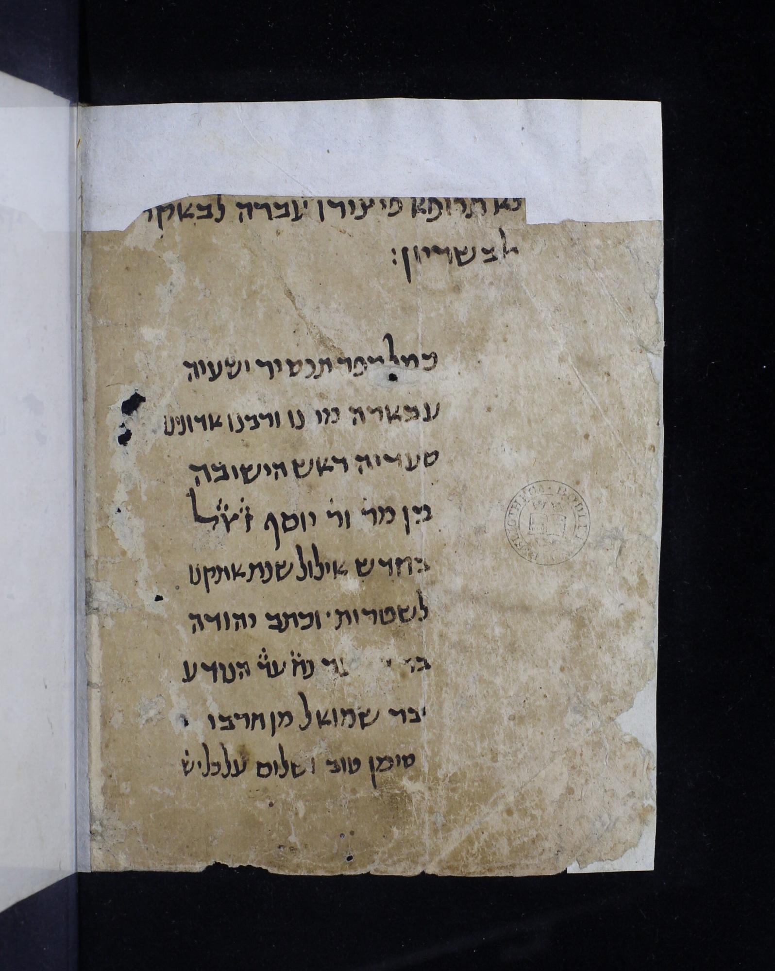 Image of item, e.g. a manuscript page