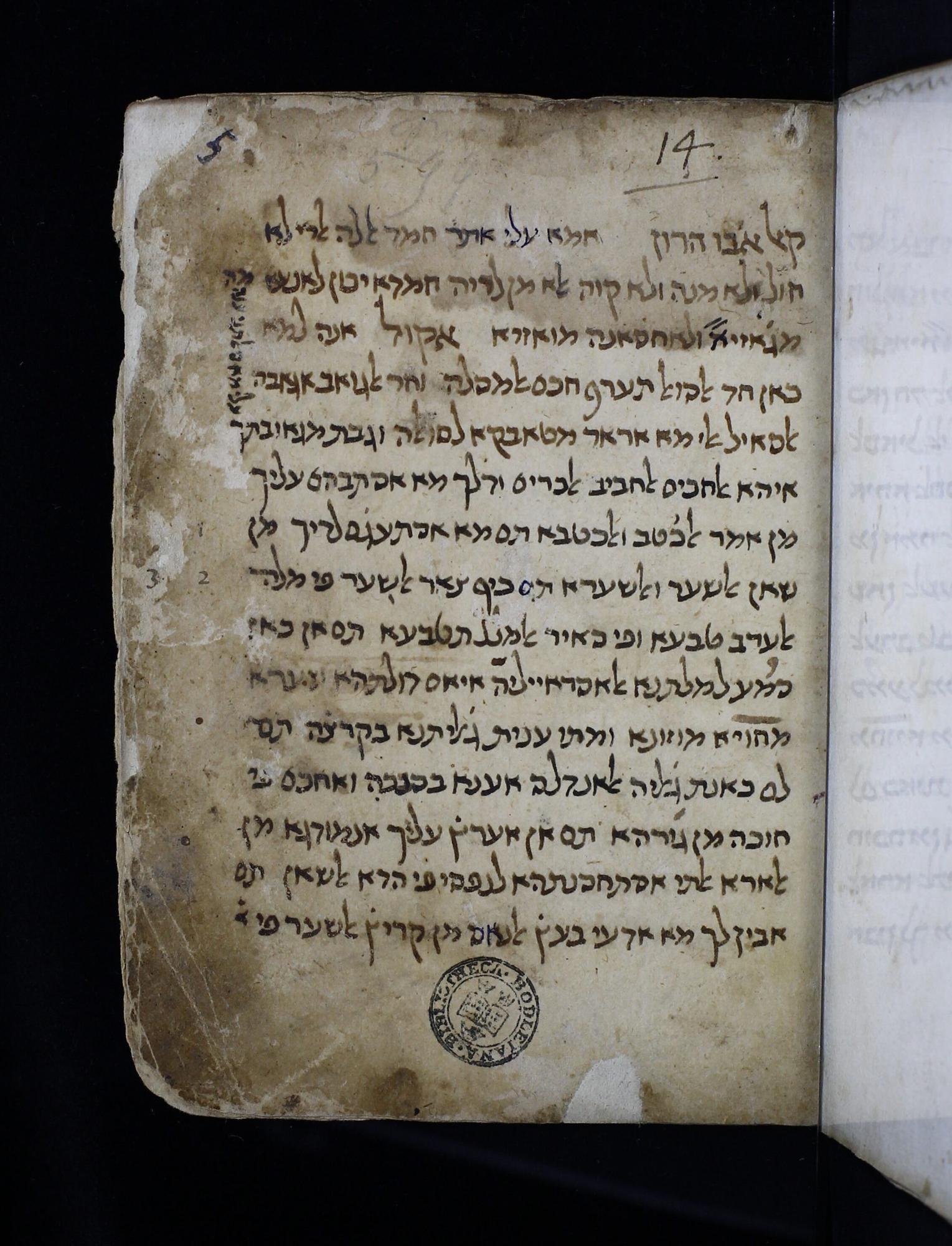 Image of item, e.g. a manuscript page