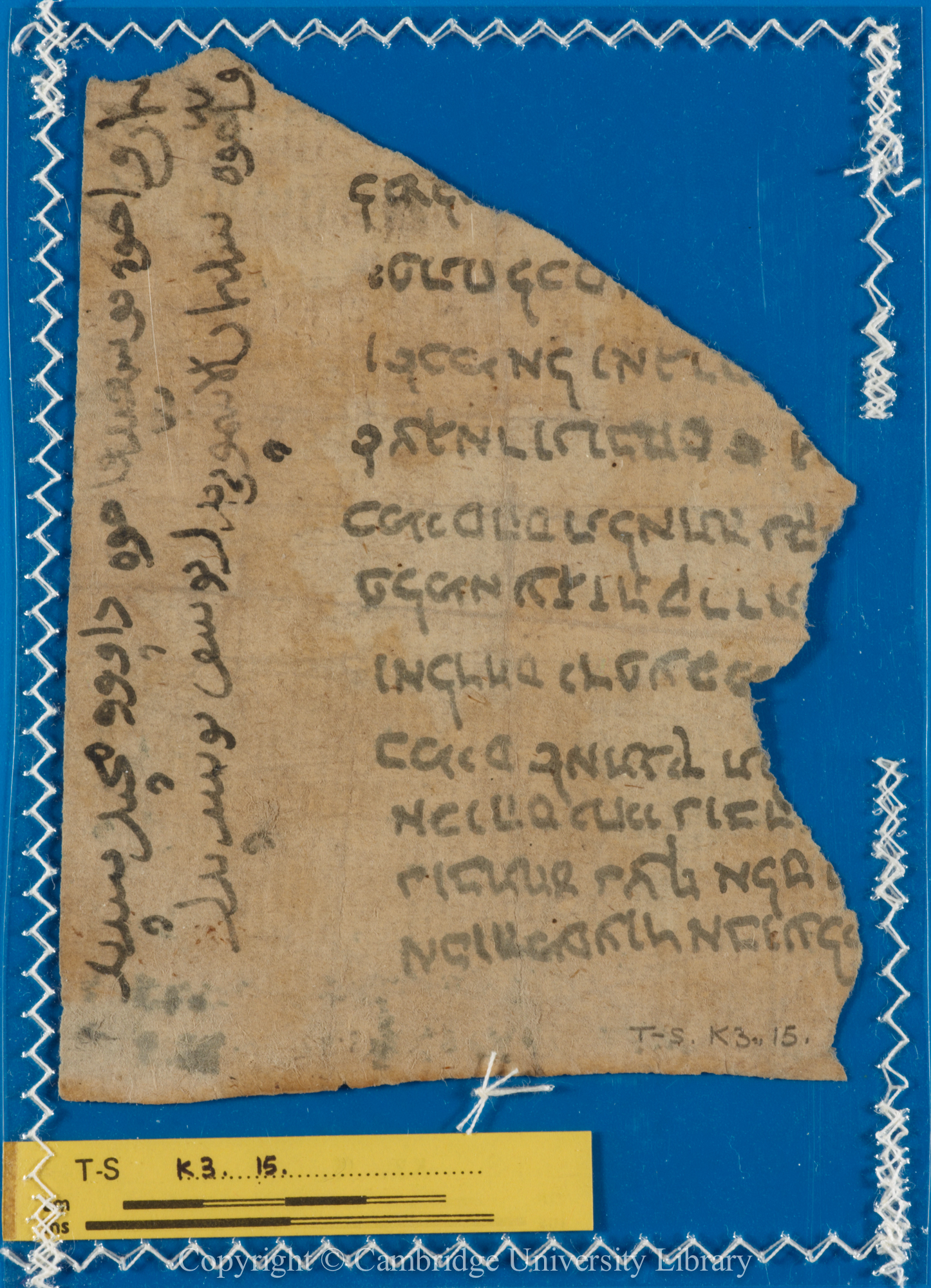 Image of item, e.g. a manuscript page
