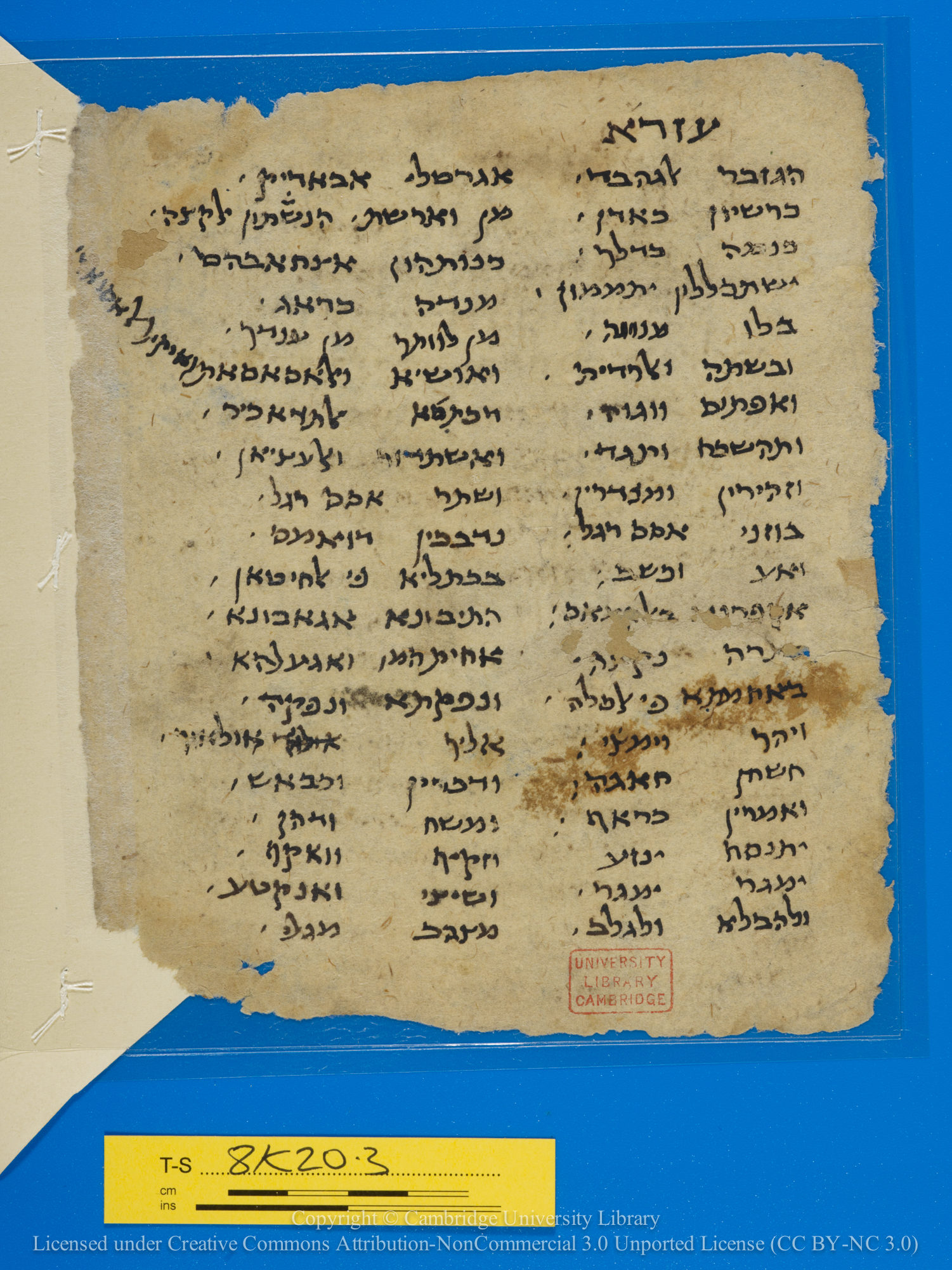 Image of item, e.g. a manuscript page